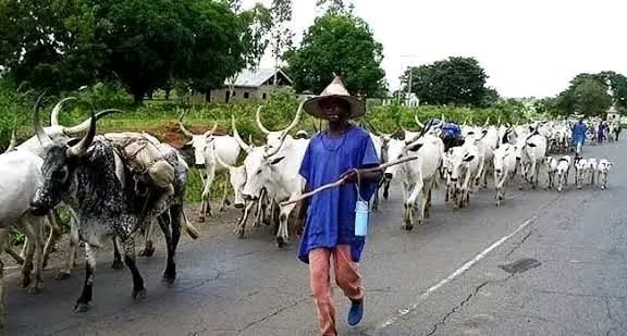 Herders Kill 15 in Benue Days After MACBAN Chairman's Murder