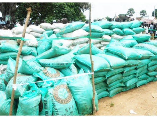 Food Security Push: Adamawa Govt Approves N2.2 Billion For Dry Season Fertiliser