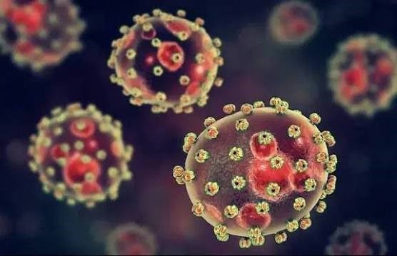 Lassa Fever Crisis Deepens: Nigeria Records 1,035 Cases, 252 Deaths as Young Adults Bear Brunt of Outbreak